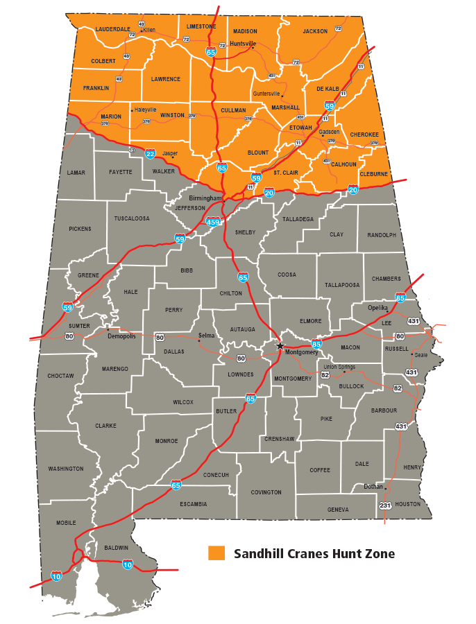 Sandhill Crane Season Outdoor Alabama